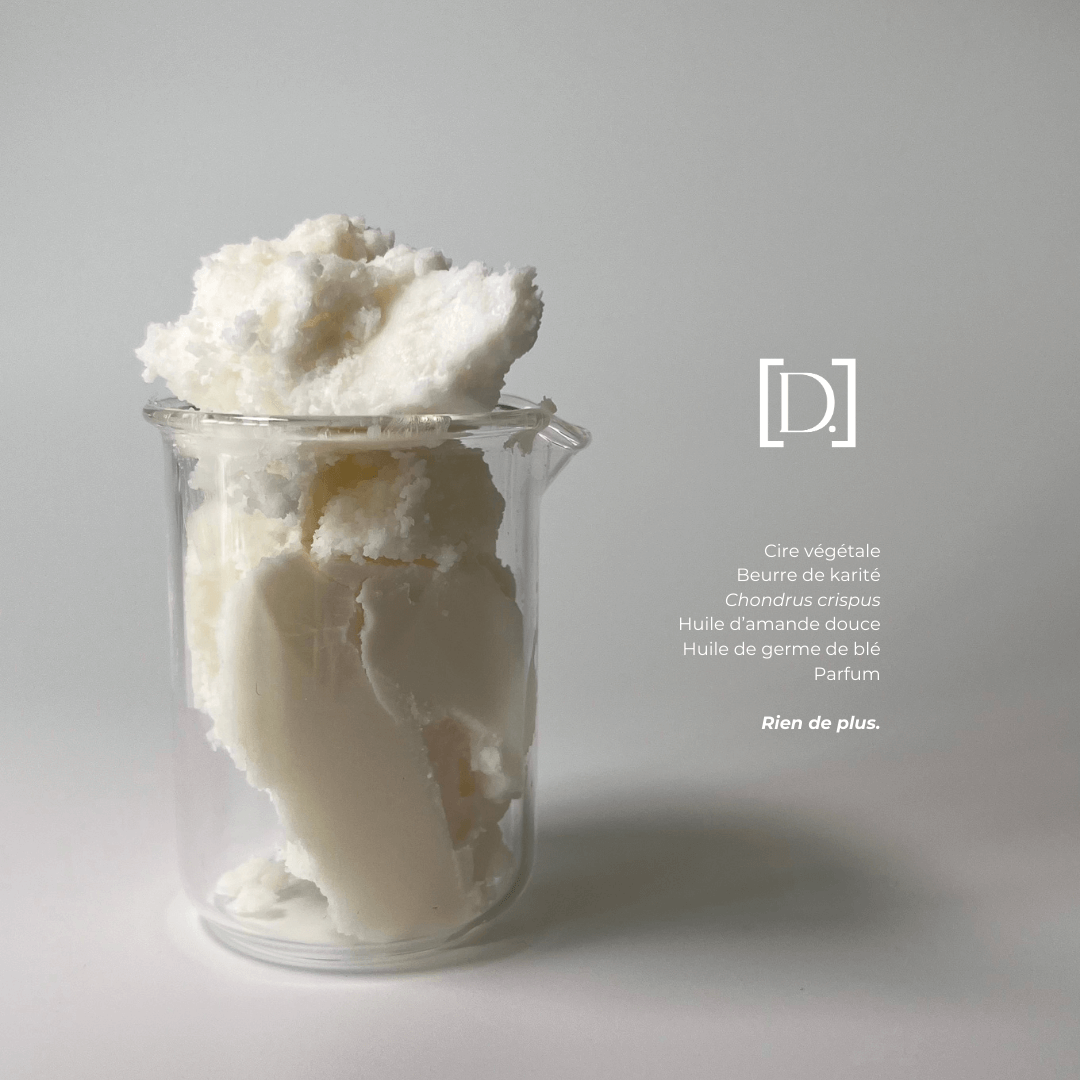 Kit découverte- 3 Baumes minis