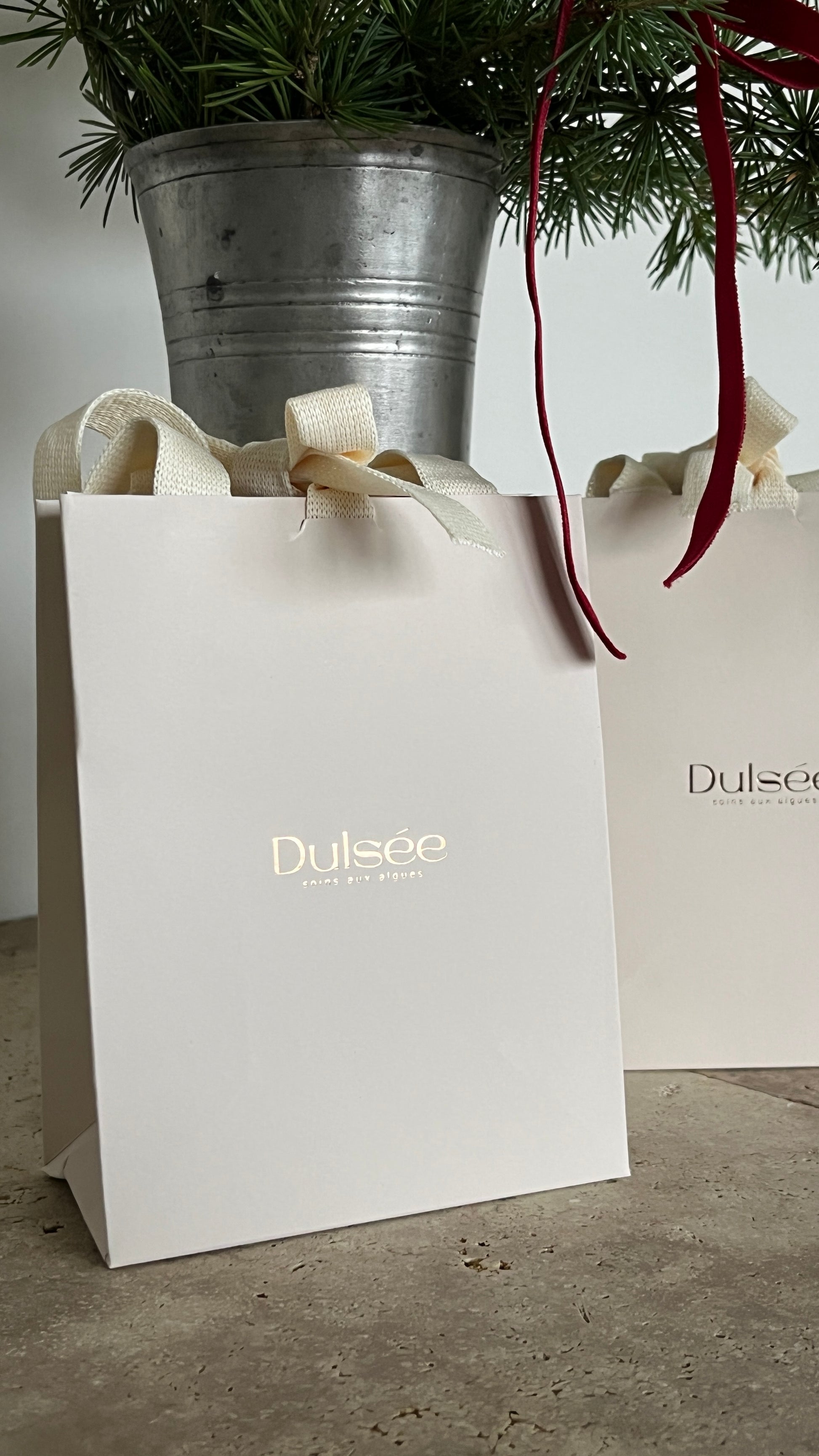 Le Coffret Cadeau- Édition limitée